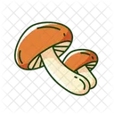 Shiitake mushrooms  Icon
