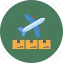 Package Delivery Service Air Shipping Icon