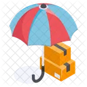 Shipping Courier Insurance Icon