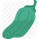 Shishito Pepper  Icon