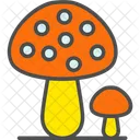 Shitake Mushroom  Icon