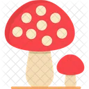 Shitake Mushroom Mushroom Fungus Icon