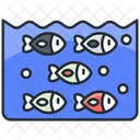 浅瀬  アイコン