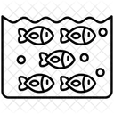 Shoal  Icon
