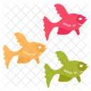 Shoal Flock Multi Color Icon
