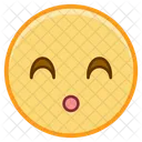 Frowning Emoji Emoticon Icon