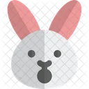 Choque De Conejo Animal Fauna Icono