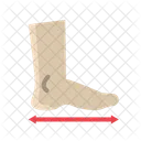 Shoe Size Podiatry Footwear Icon