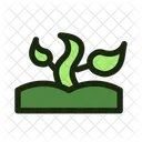 Shoots Growth Plants Icon