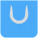 Shopping Bag  Icon