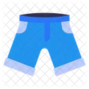 Short Pant  Icon