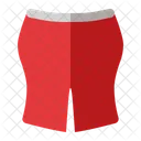 Short Skirt Skirt Clothing Icon