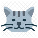 Shorthair Cat  Icon