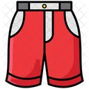 Shorts Underpants Knickers Icon