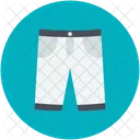 Shorts Underpants Swimwear Icon