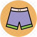 Shorts Underpants Undergarments Icon