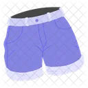 Shorts Pants Beachwear Icon