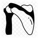 Shoulder Blade  Icon