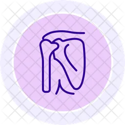 Shoulder bones  Icon