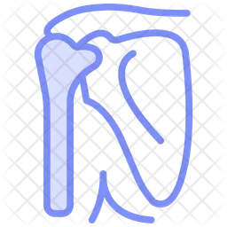 Shoulder-bones  Icon