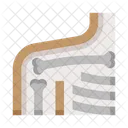 Anatomy Shoulder Ribs Icon