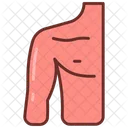 Shoulder Collar Bone Body Part Icon