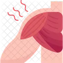 Shoulder Muscle Pain Icon