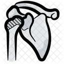 Shoulder Bone Skeleton Icon