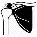 Shoulder  Icon