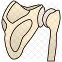 Shoulder  Icon