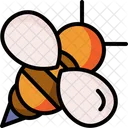 Bee Entomology Animal Kingdom Icon