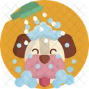 Shower Bath Dog Icon