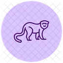 Shrew Icon
