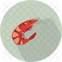 Shrimp Icon
