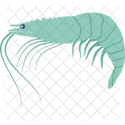 Shrimp  Icon