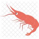 Shrimp  Icon
