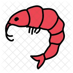 Shrimp  Icon