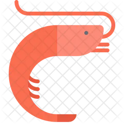 Shrimp  Icon