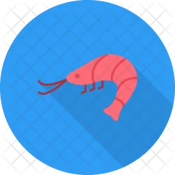 Shrimp  Icon