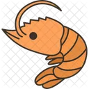 Shrimp  Icon