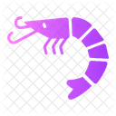 Shrimp Nature Sealife Icon