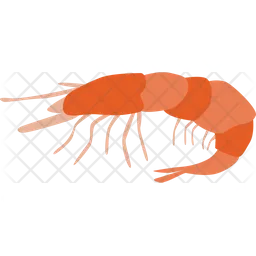 Shrimp  Icon