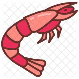 Shrimp  Icon