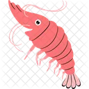 Shrimp  Icon