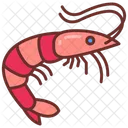 Shrimp Sea Food Prawn Icon