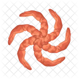 Shrimp  Icon