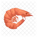 Shrimp  Icon