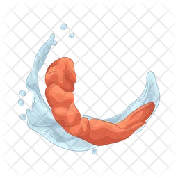 Shrimp  Icon