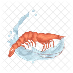 Shrimp  Icon