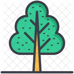 Shrub Tree  Icon